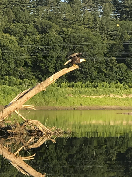 Hanging out by the river, skipping some rocks, admiring the Vermont scenery... what could be better? Mud City is your guide to Stowe, Waterbury, Waitsfield, Waterbury, Morrisville, and Johnson adventure.