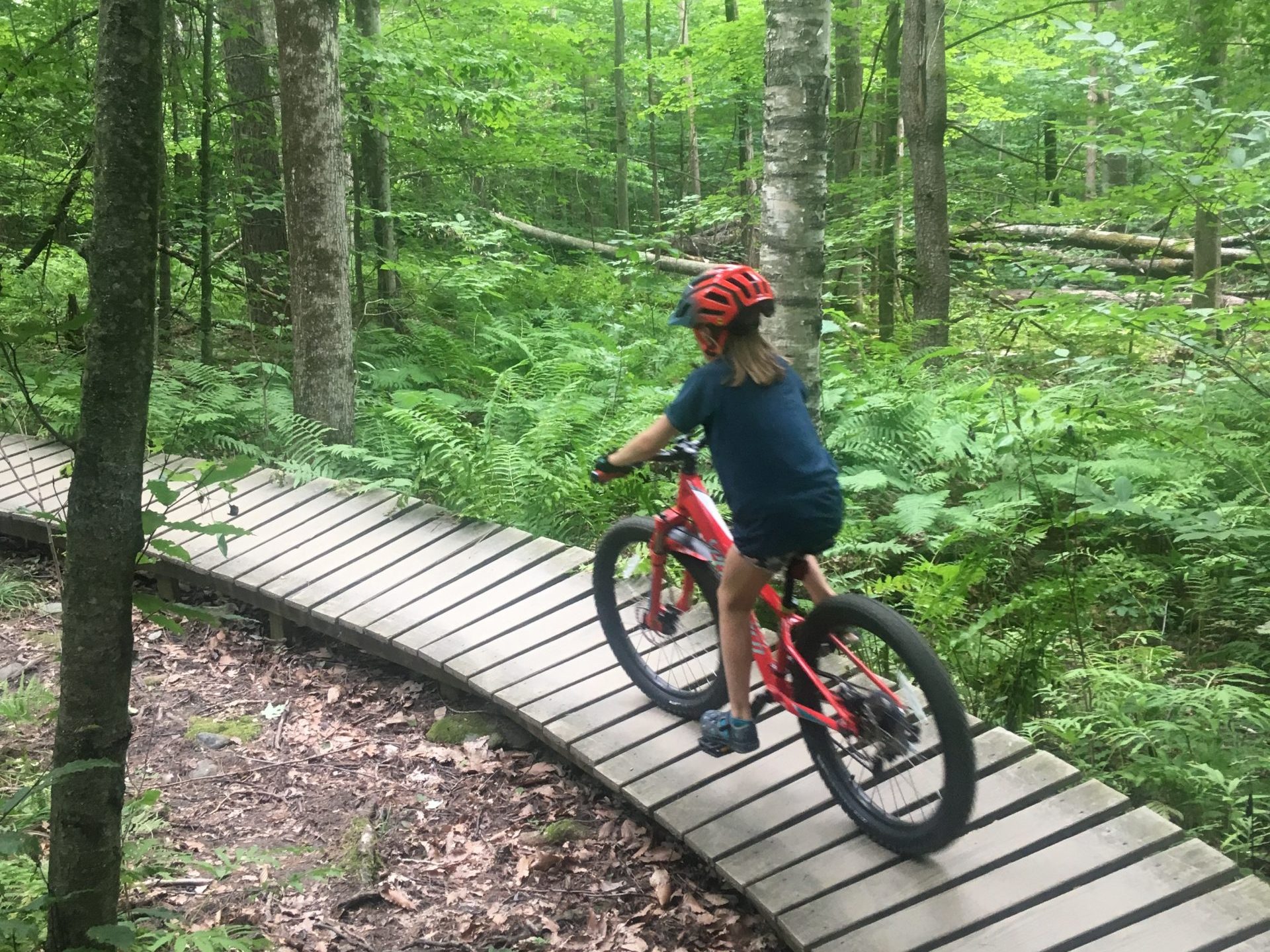 Mountain biking is fun for all ages. At Mud City we offer kids mountain bike camps twice per summer, for 3 days at a time. 