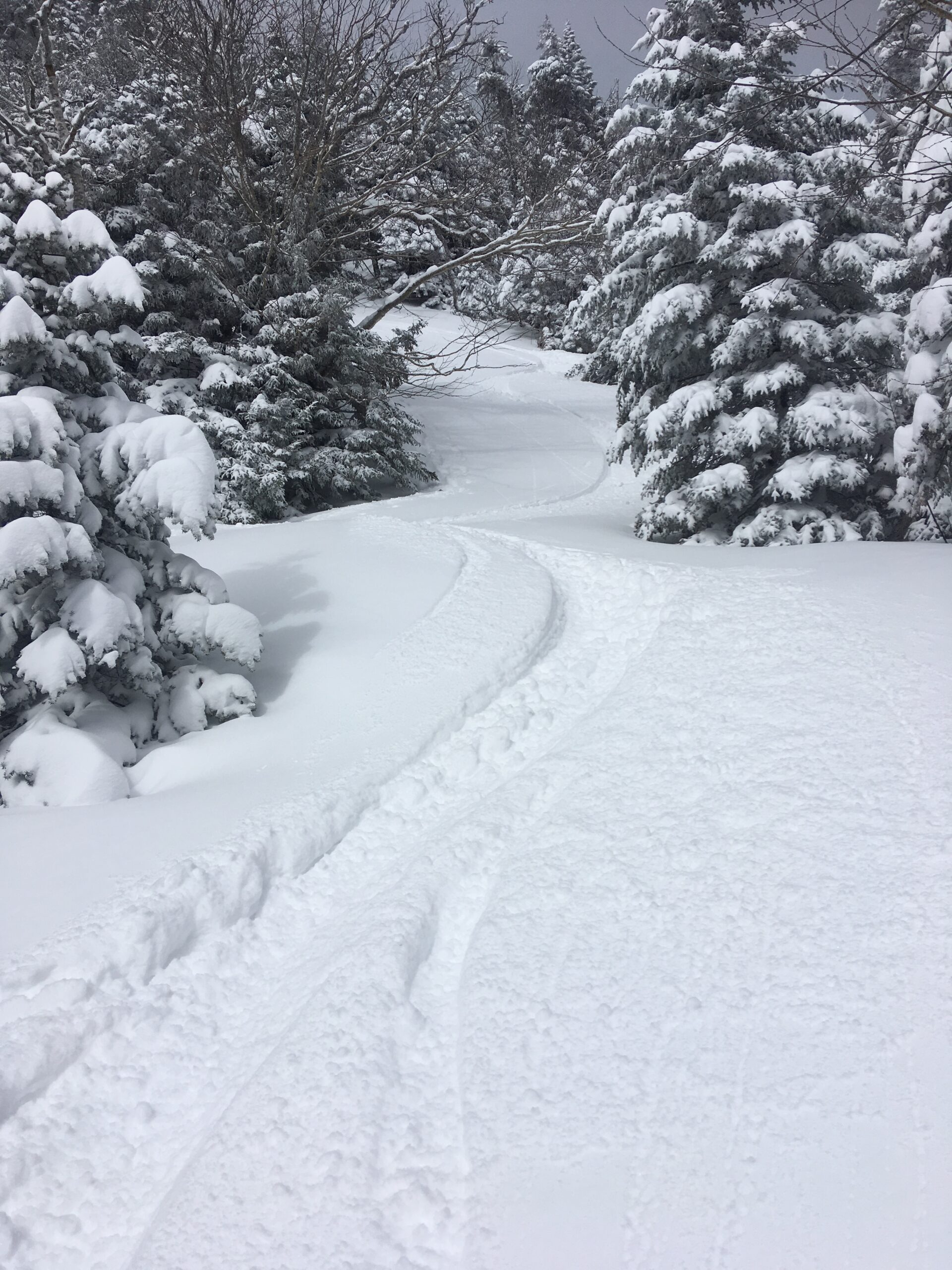 A winter wonderland backcountry ski adventure in Stowe Vermont